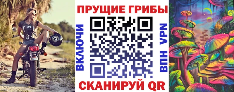 Псилоцибиновые грибы GOLDEN TEACHER  Краснозаводск 